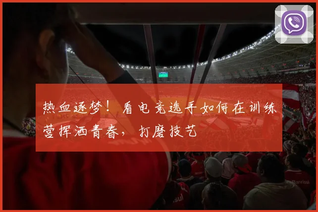 热血逐梦！看电竞选手如何在训练营挥洒青春，打磨技艺